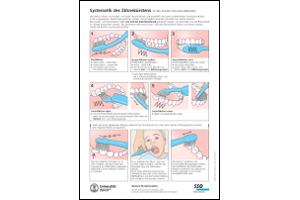 Systematik des Zähnebürsten